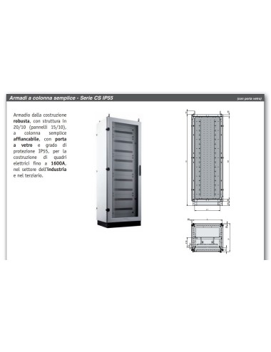 ARMADIO AEG CS IP55...